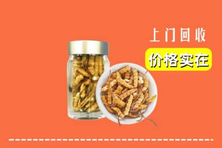 收购资讯:烟台龙口市回收散虫草