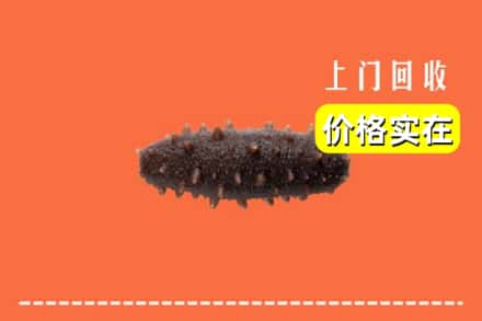 收购资讯:烟台龙口市回收海参
