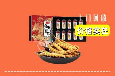 烟台龙口市回收虫草
